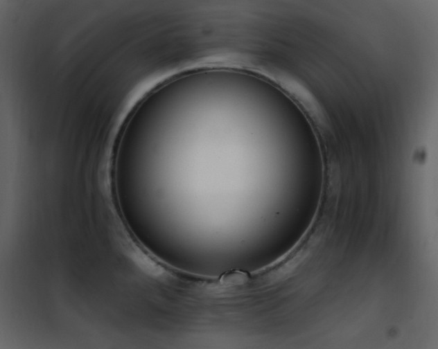 X0000101971288200807181055