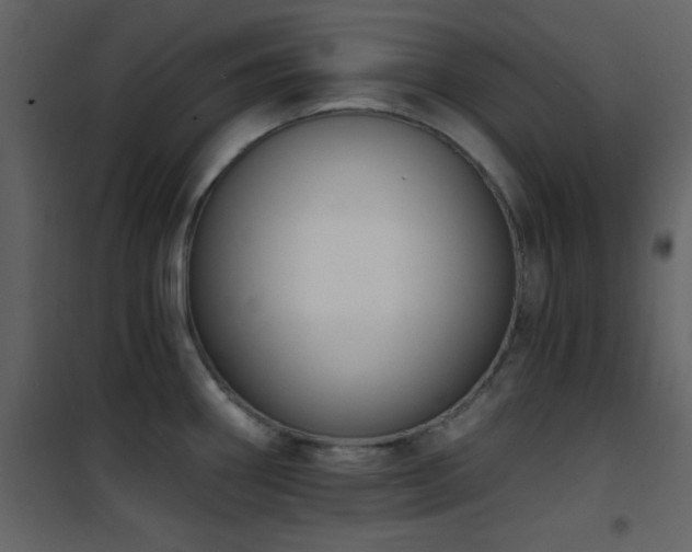 X0000101971290200807181055