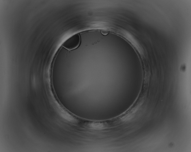 X0000101971291200807181055