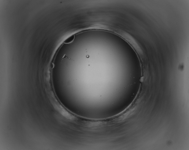 X0000101971292200807181055