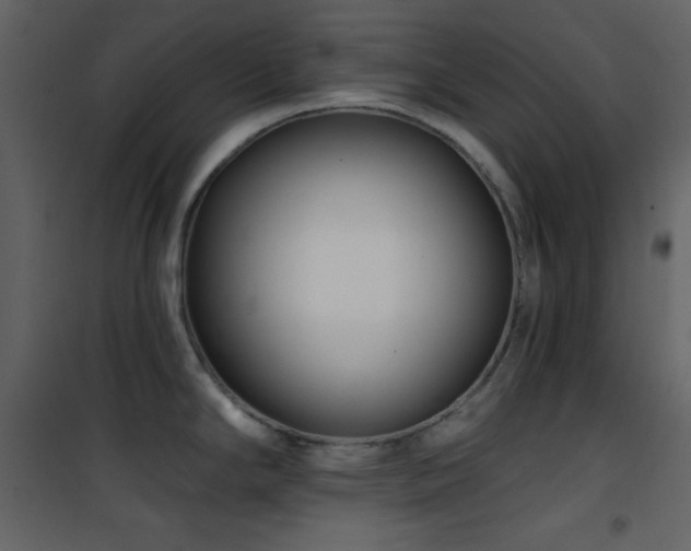X0000101971294200807181055