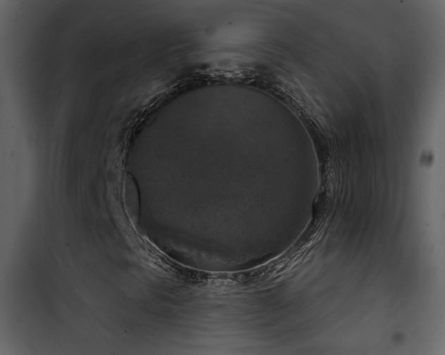 X0000101971297200807181055