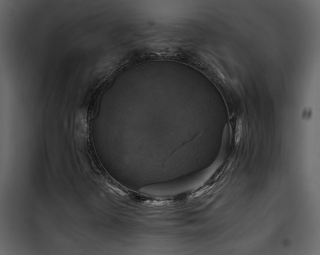 X0000101971298200807181055