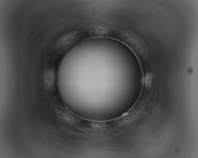 X0000101971299200807181055