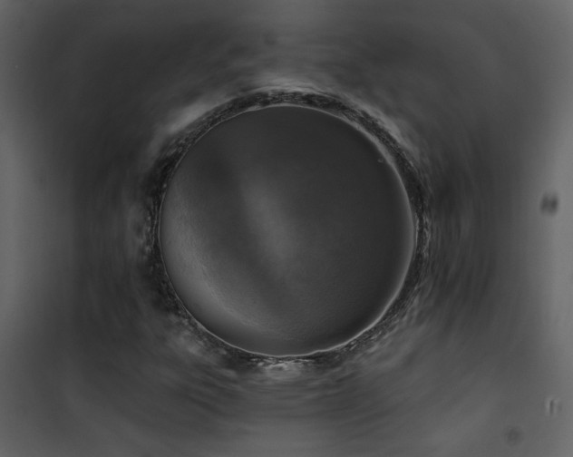 X0000101971303200807181055