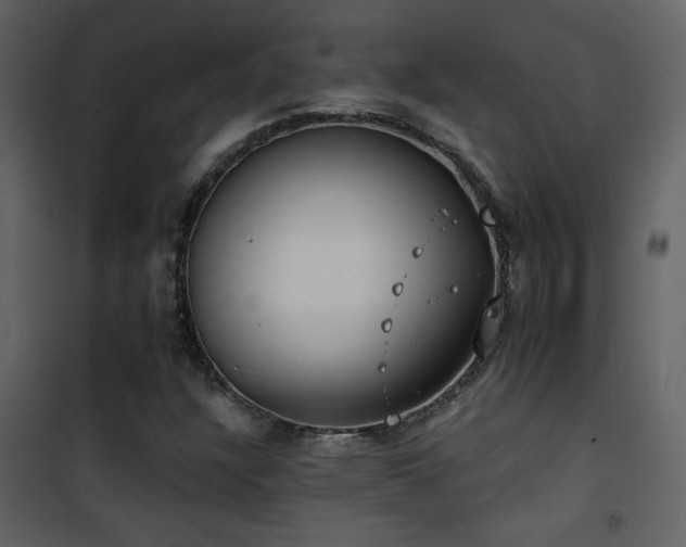 X0000101971304200807181055