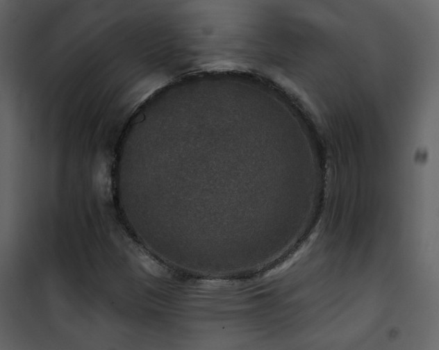 X0000101971305200807181055