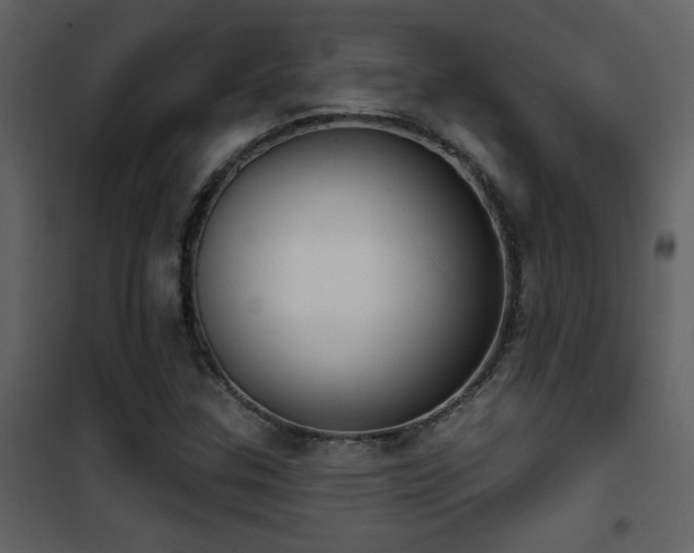 X0000101971307200807181055