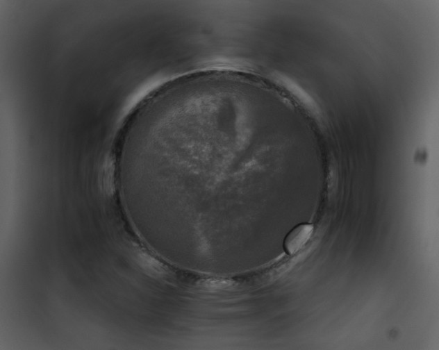 X0000101971310200807181055