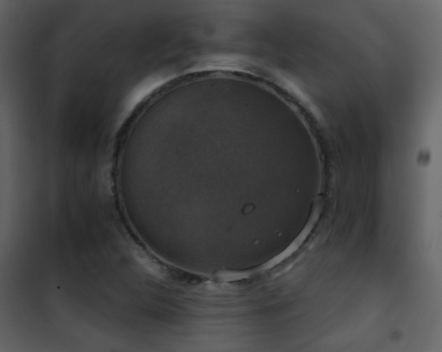 X0000101971312200807181055