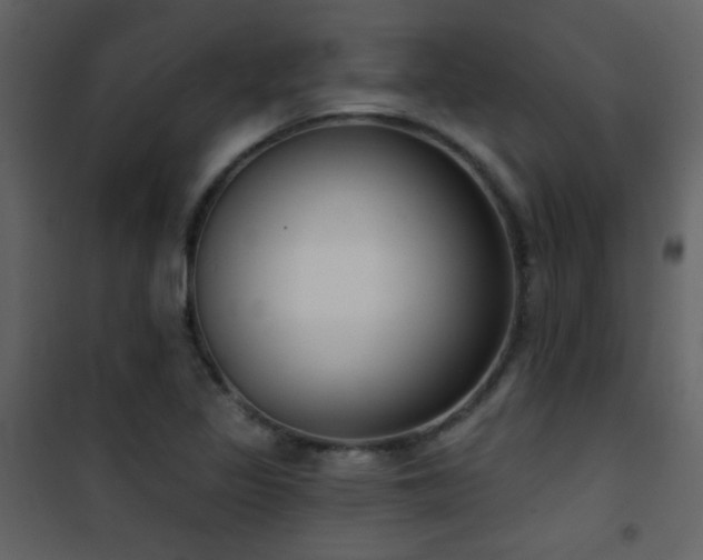 X0000101971317200807181055