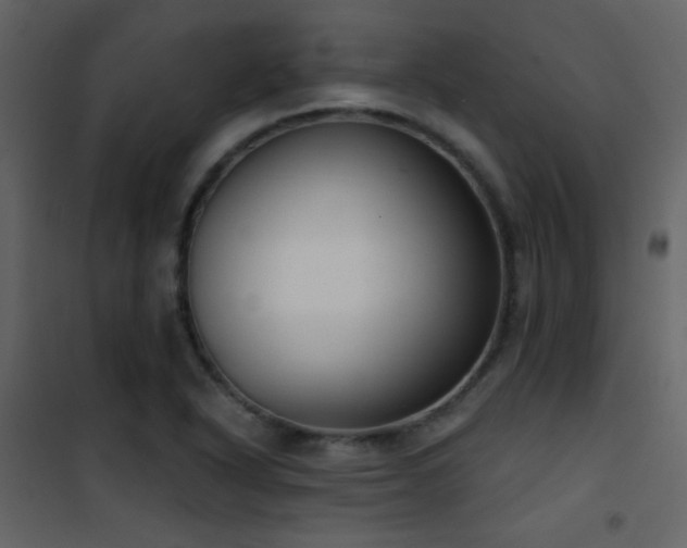 X0000101971318200807181055