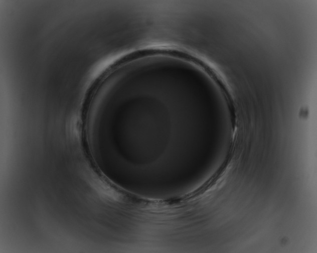 X0000101971319200807181055