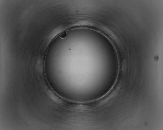 X0000101971321200807181055