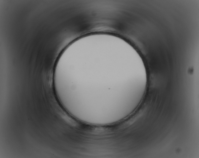X0000101971322200807181055