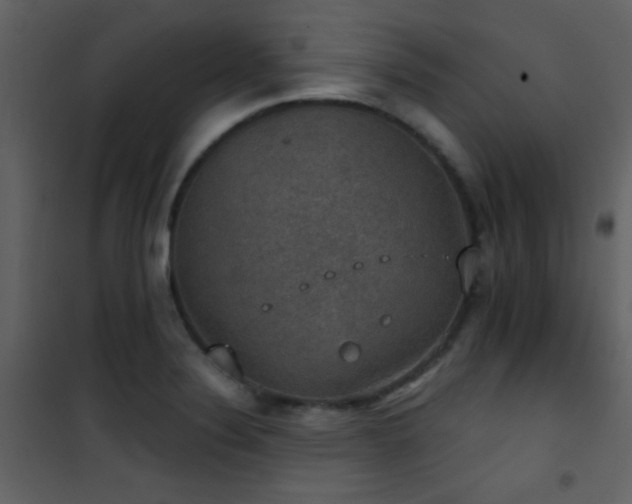 X0000101971324200807181055