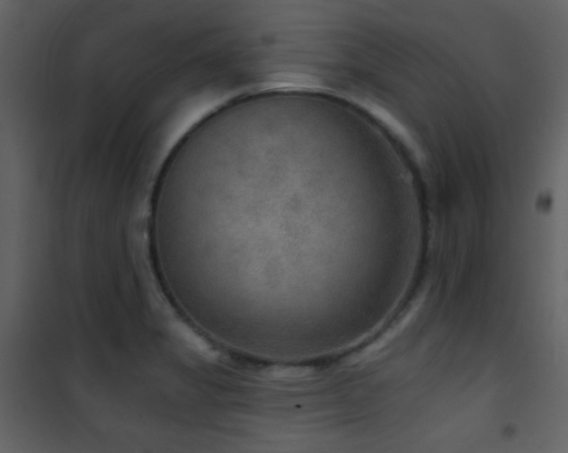X0000101971325200807181055