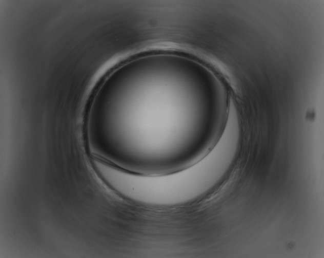 X0000101971326200807181055