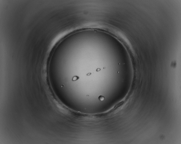 X0000101971328200807181055
