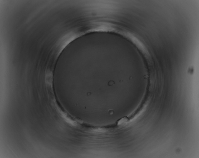 X0000101971329200807181055