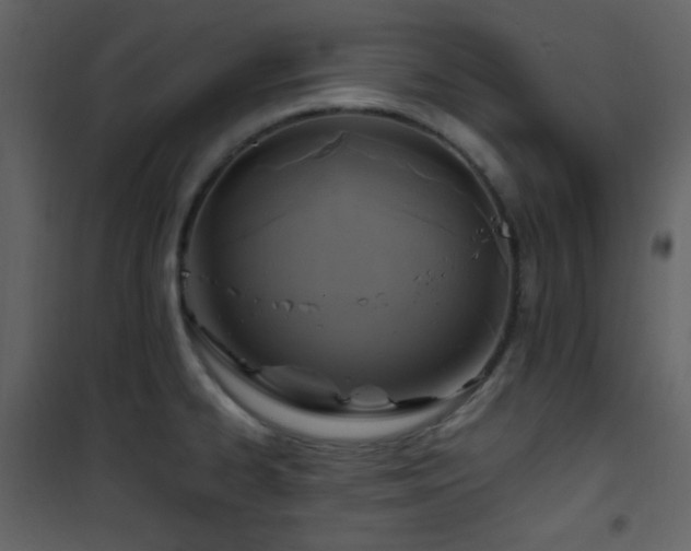 X0000101971334200807181055