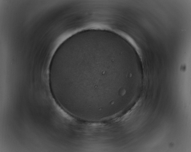 X0000101971335200807181055