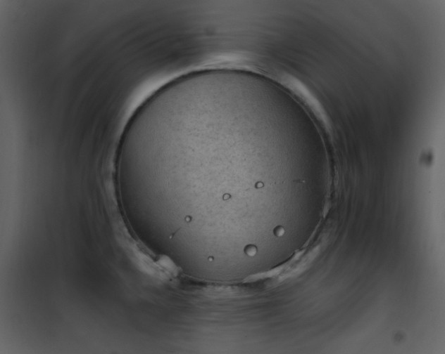 X0000101971336200807181055