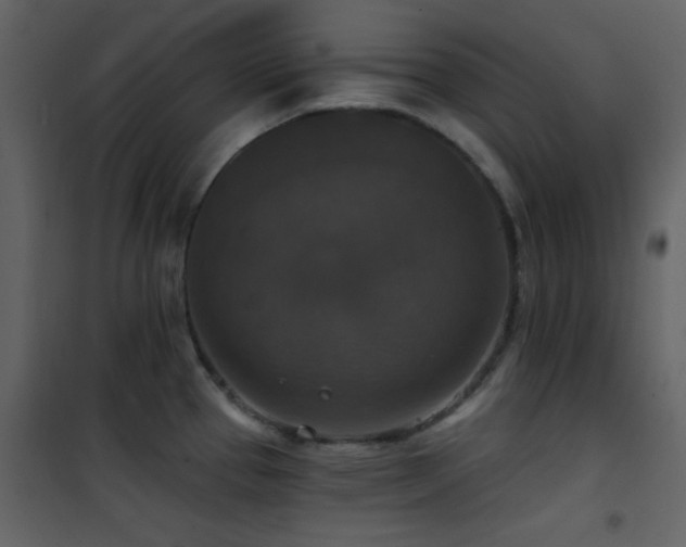 X0000101971337200807181055