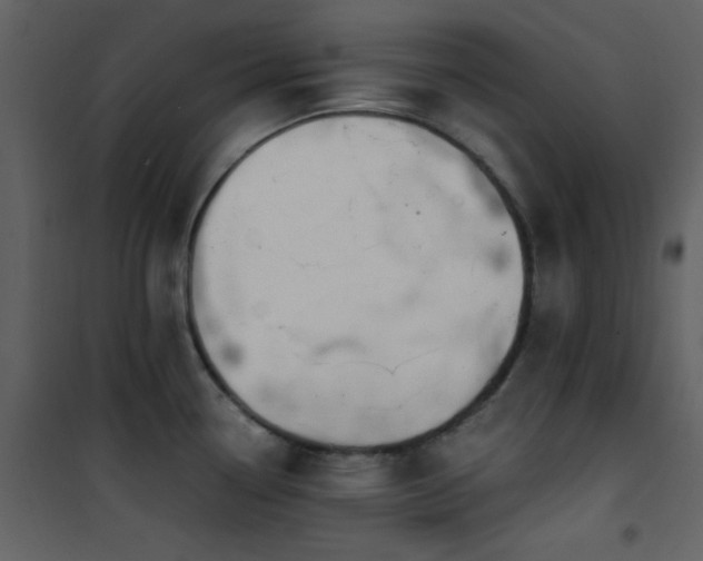 X0000101971338200807181055