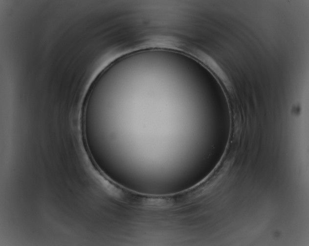 X0000101971339200807181055