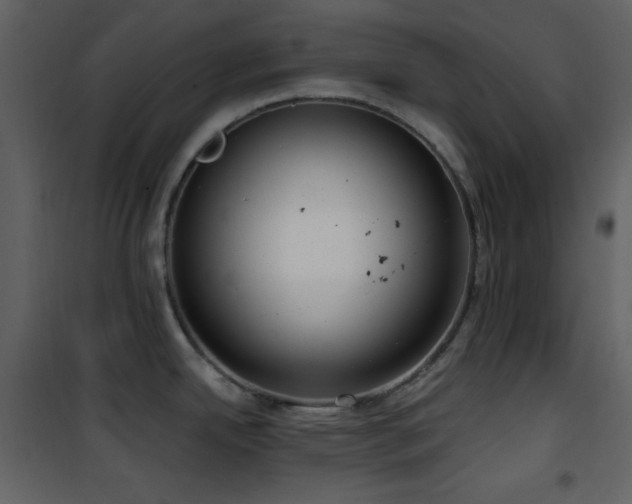 X0000101971342200807181055