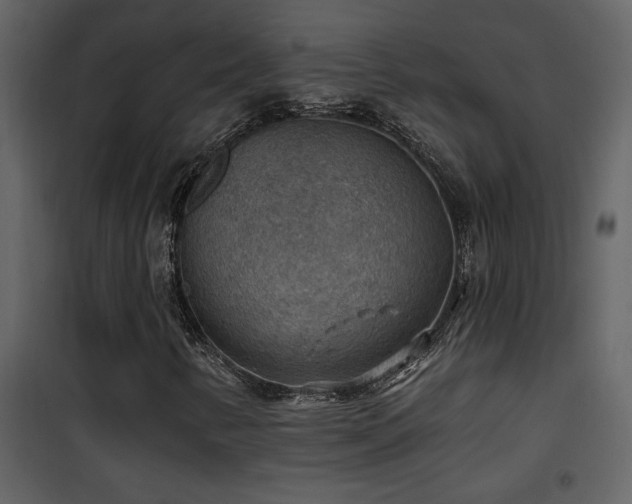 X0000101971346200807181055
