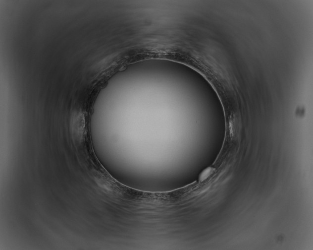X0000101971347200807181055