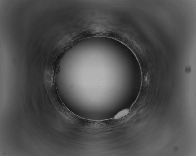 X0000101971348200807181055