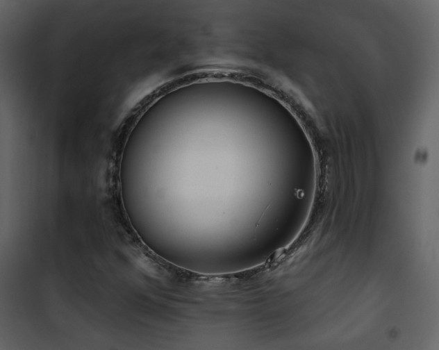 X0000101971352200807181054