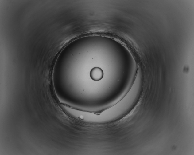 X0000101971353200807181054