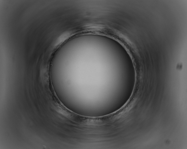 X0000101971354200807181054