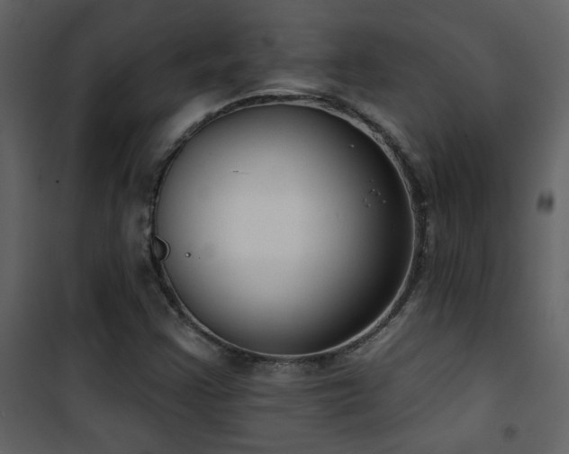 X0000101971355200807181054