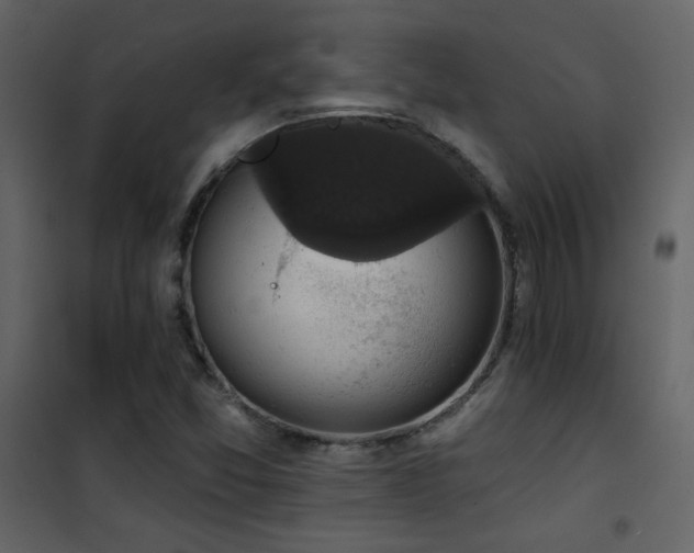 X0000101971357200807181054