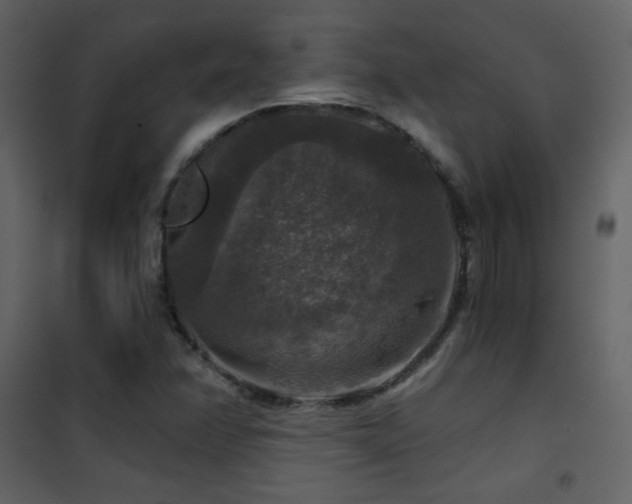 X0000101971358200807181054