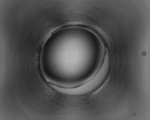 X0000101971361200807181054