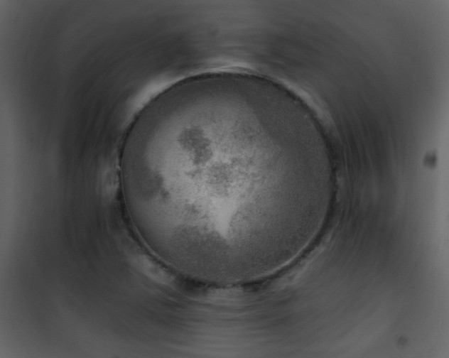 X0000101971363200807181054