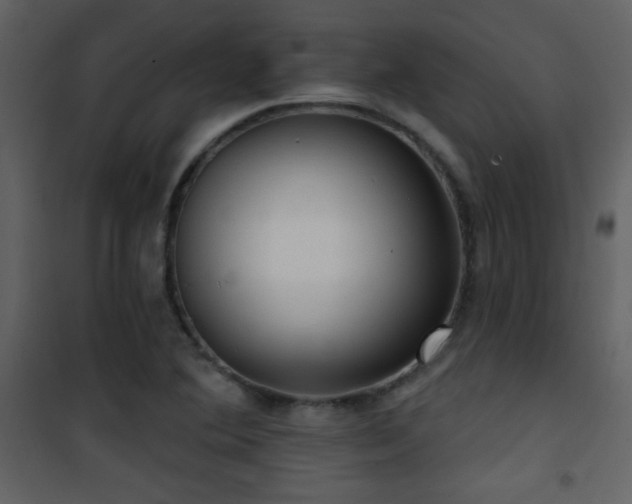 X0000101971364200807181054