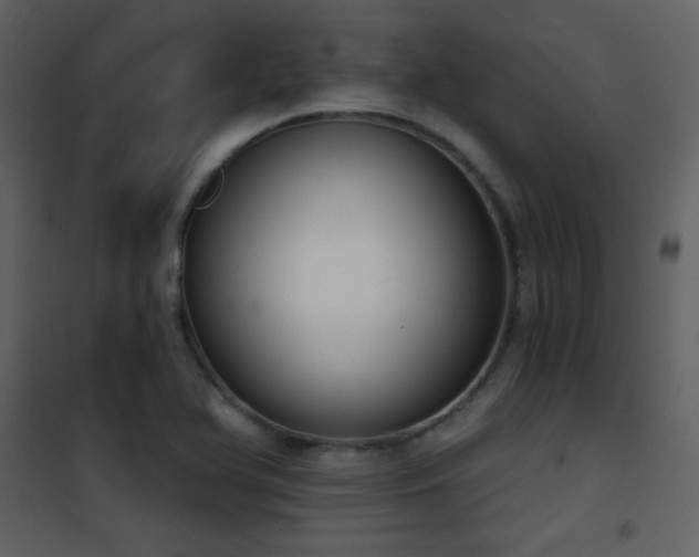 X0000101971366200807181054