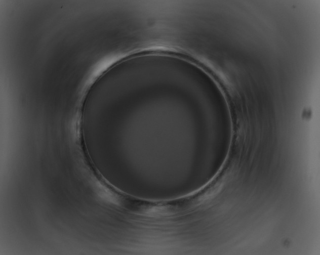 X0000101971367200807181054