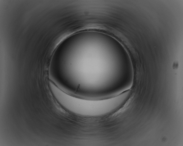X0000101971369200807181054