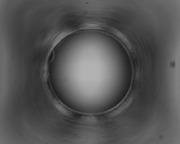 X0000101971370200807181054