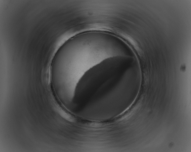 X0000101971371200807181054