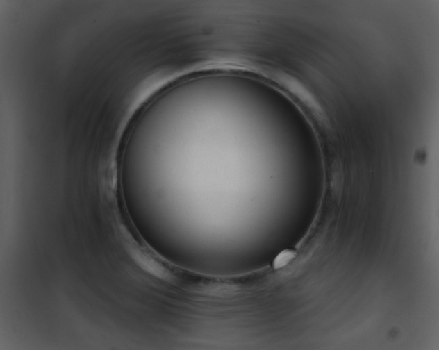 X0000101971372200807181054