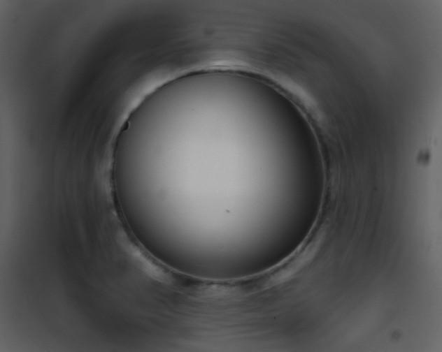 X0000101971374200807181054